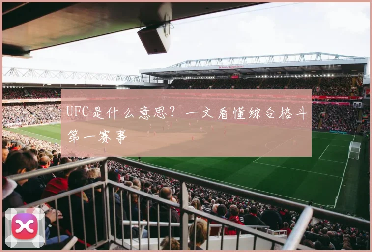 UFC是什么意思?一文看懂综合格斗第一赛事