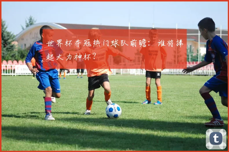 世界杯夺冠热门球队前瞻：谁将捧起大力神杯？