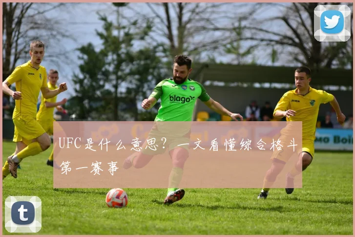 UFC是什么意思?一文看懂综合格斗第一赛事