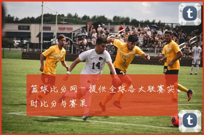 篮球比分网 - 提供全球各大联赛实时比分与赛果