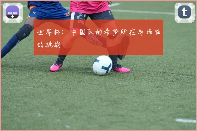 世界杯：中国队的希望所在与面临的挑战